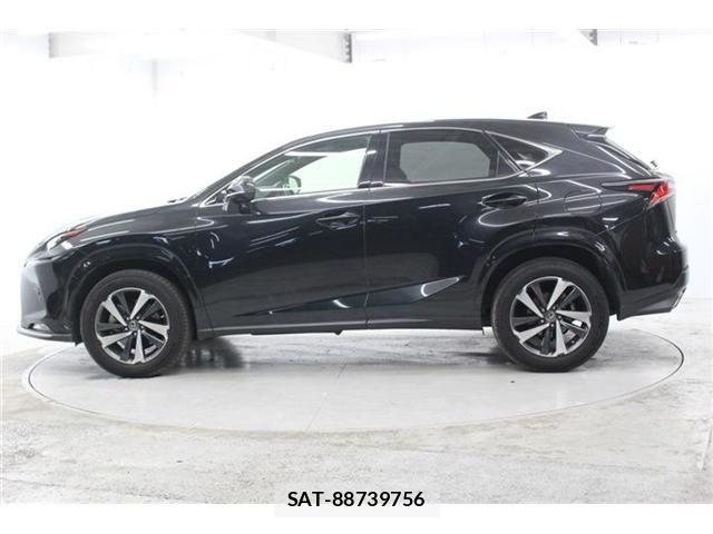 Lexus NX 2020-11 6545570-7