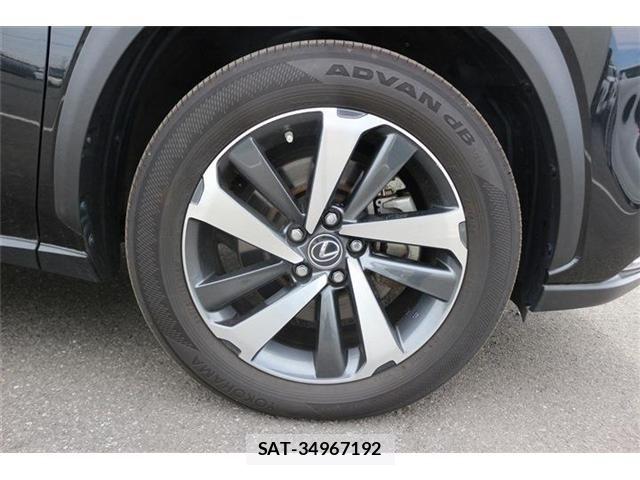 Lexus NX 2021-06 6612884-15