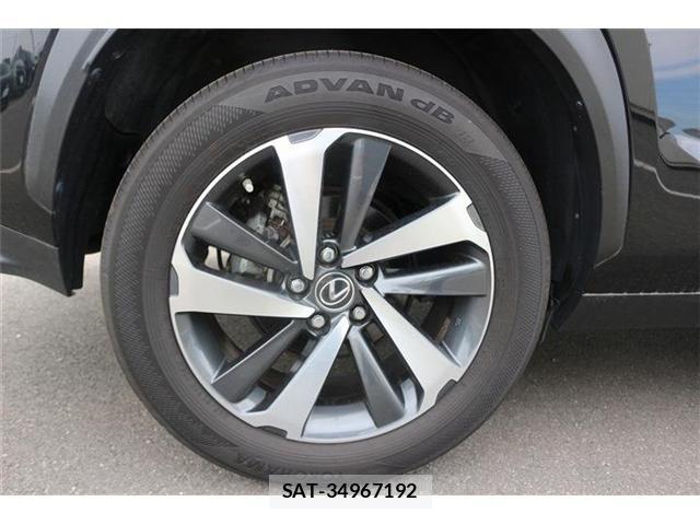 Lexus NX 2021-06 6612884-16