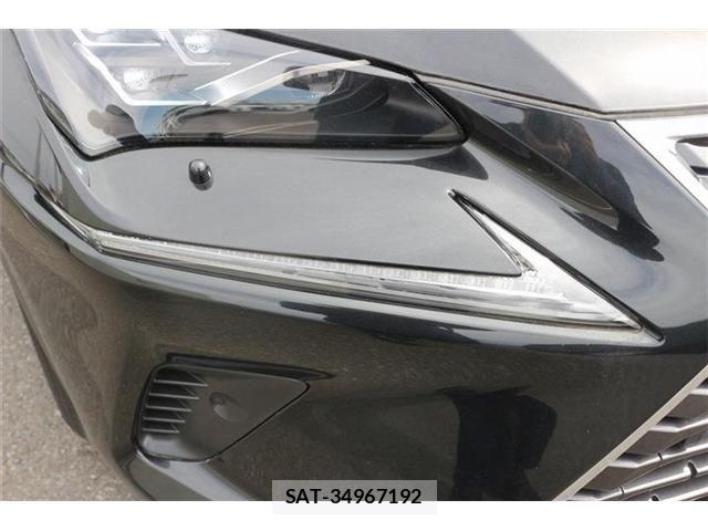 Lexus NX 2021-06 6612884-25