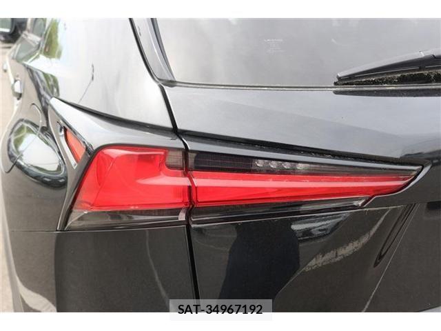 Lexus NX 2021-06 6612884-27