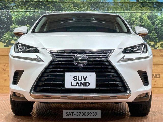 Lexus NX 2017-12 6676692-13
