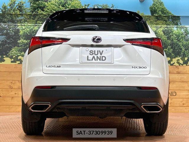 Lexus NX 2017-12 6676692-14