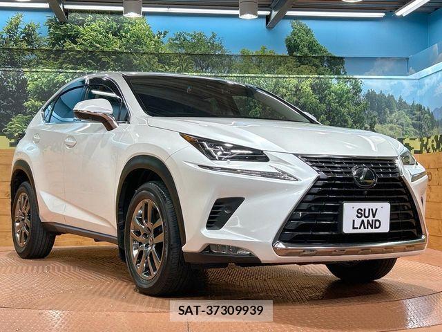 Lexus NX 2017-12 6676692-15