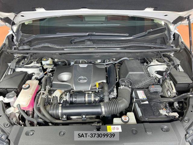 Lexus NX 2017-12 6676692-17