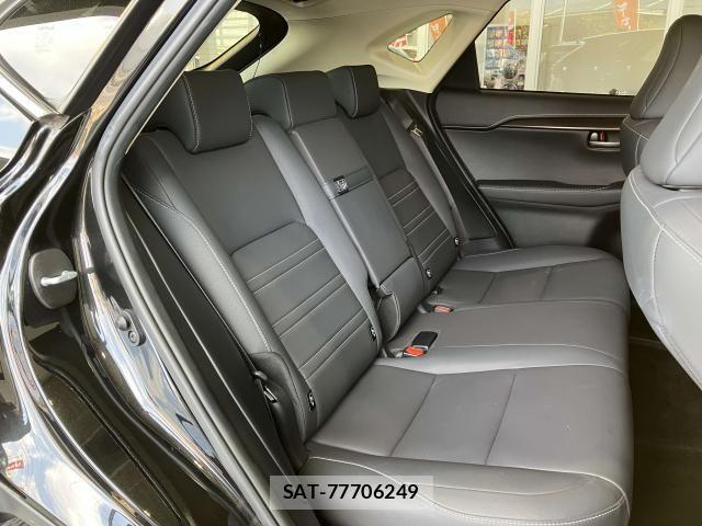Lexus NX 2018-12 6676689-18
