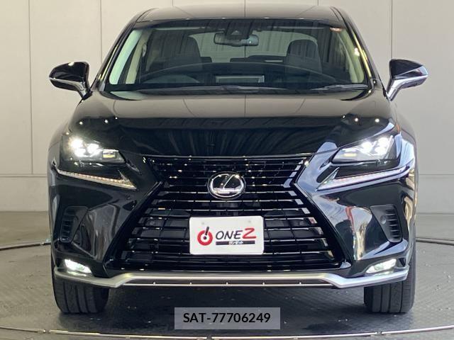 Lexus NX 2018-12 6676689-24