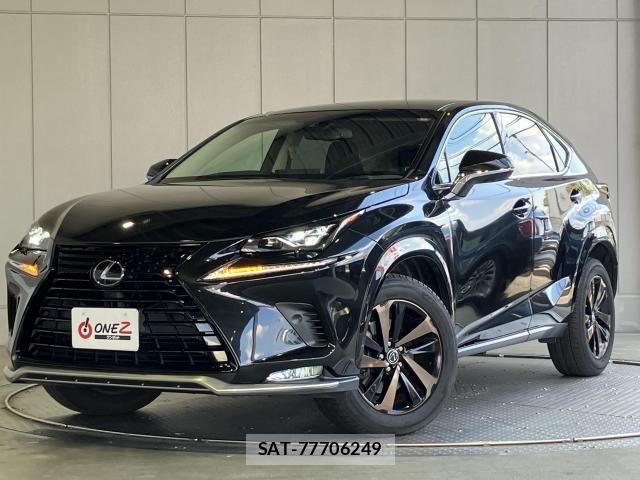 Lexus NX 2018-12 6676689-25