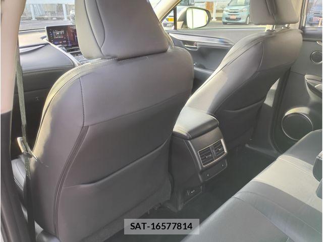 Lexus NX 2018-12 6676690-15