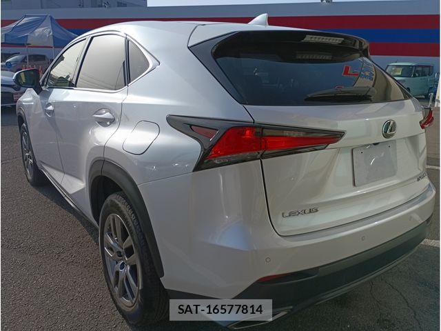 Lexus NX 2018-12 6676690-4