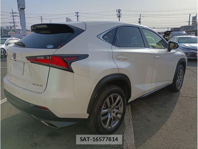 Lexus NX 2018-12 6676690-6