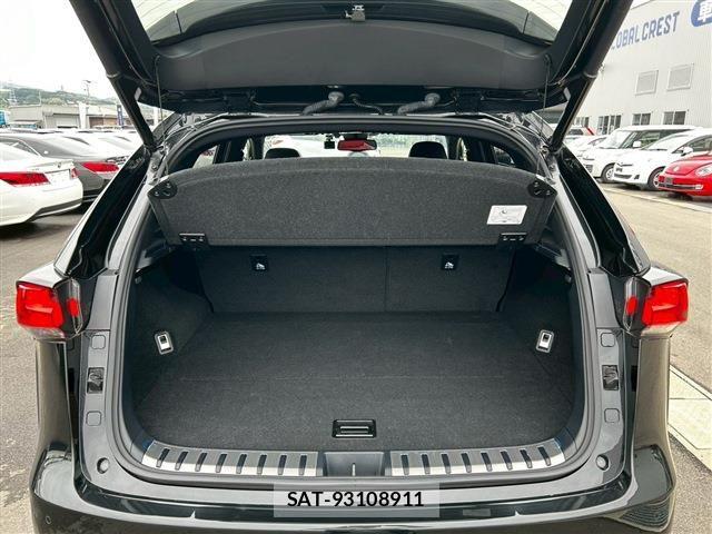 Lexus NX 2021-01 6676688-15