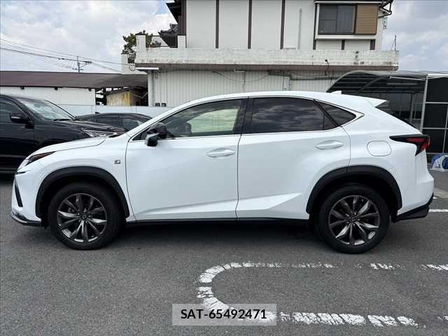 Lexus NX 2019-05 6676691-10
