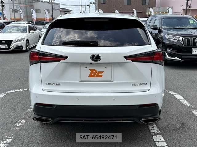 Lexus NX 2019-05 6676691-13