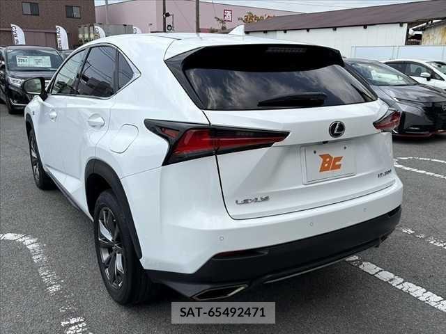 Lexus NX 2019-05 6676691-14
