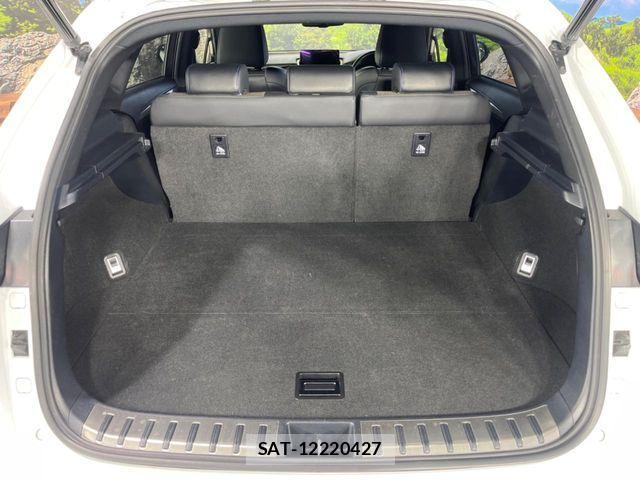 Lexus NX 2020-08 6716533-9