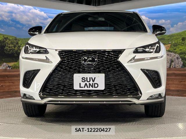 Lexus NX 2020-08 6716533-13