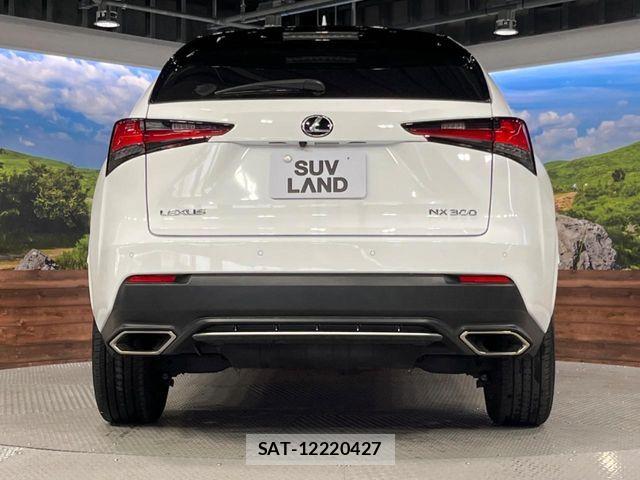 Lexus NX 2020-08 6716533-14