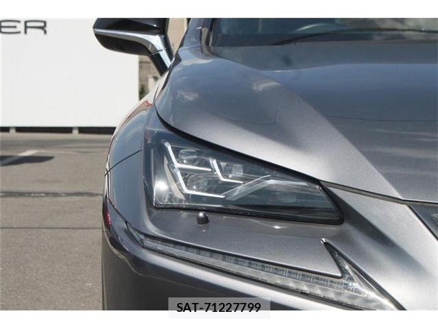 Lexus NX 2019-09 6815719-10