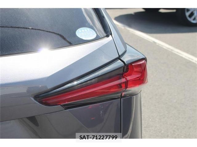 Lexus NX 2019-09 6815719-11