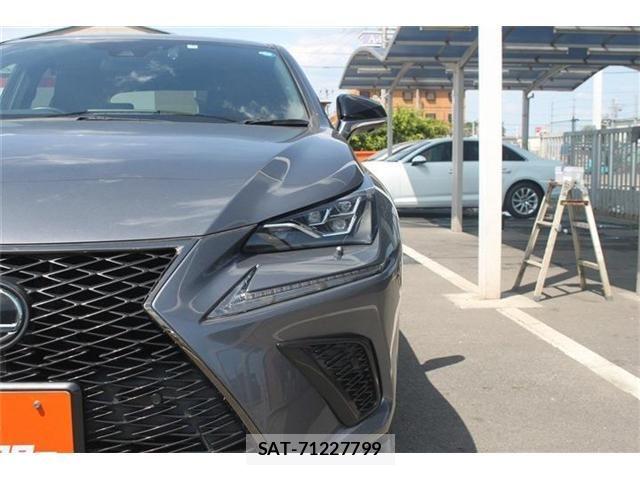 Lexus NX 2019-09 6815719-24