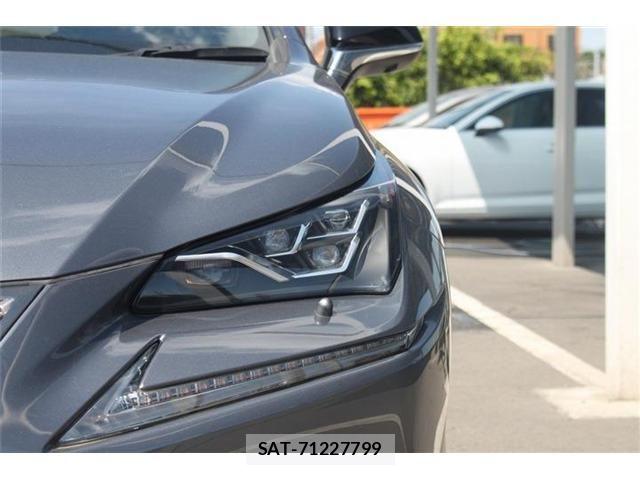 Lexus NX 2019-09 6815719-25