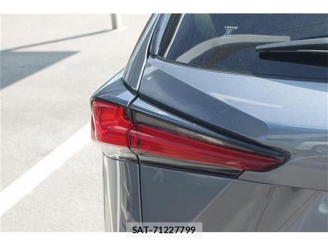 Lexus NX 2019-09 6815719-29