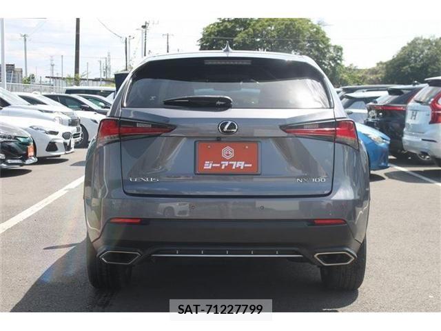 Lexus NX 2019-09 6815719-8