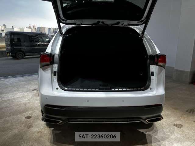 Lexus NX 2018-07 6907767-16