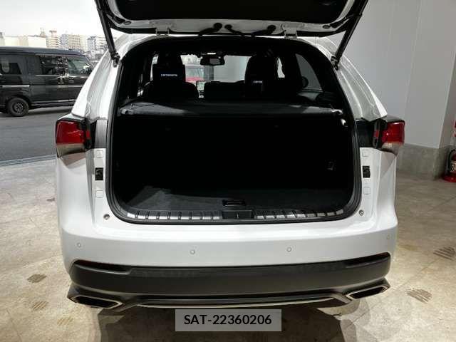 Lexus NX 2018-07 6907767-17