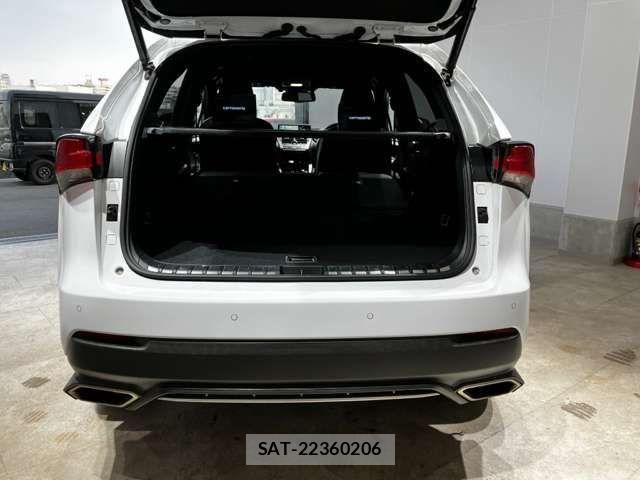 Lexus NX 2018-07 6907767-18