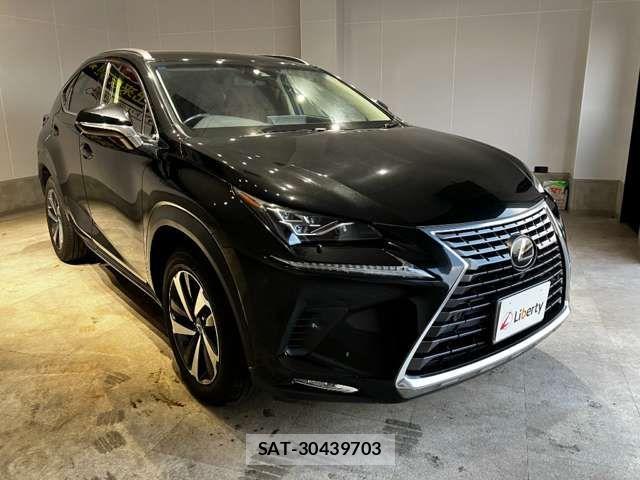 Lexus NX 2018-03 6907769-10