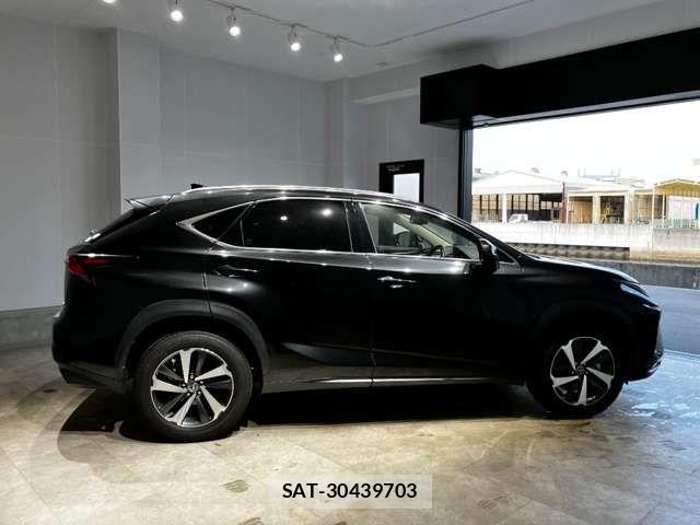 Lexus NX 2018-03 6907769-11