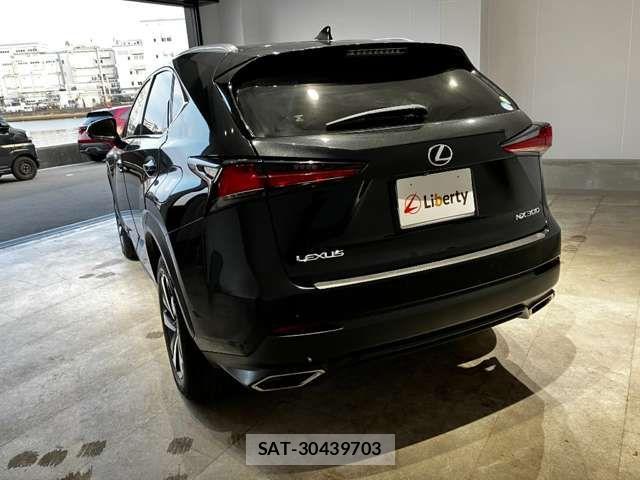 Lexus NX 2018-03 6907769-12
