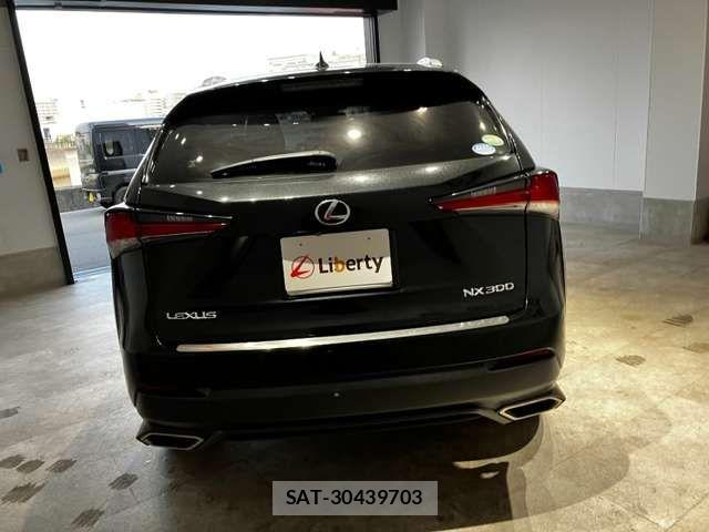 Lexus NX 2018-03 6907769-13