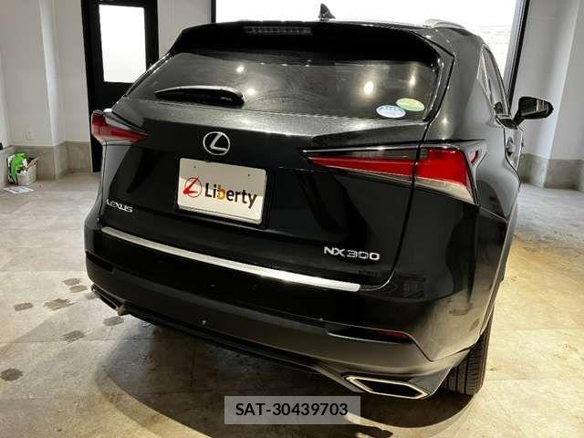 Lexus NX 2018-03 6907769-14