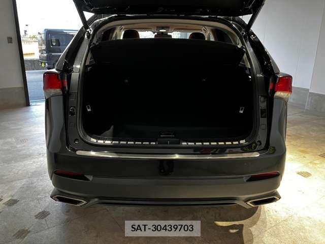Lexus NX 2018-03 6907769-17