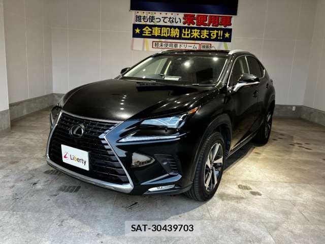 Lexus NX 2018-03 6907769-8