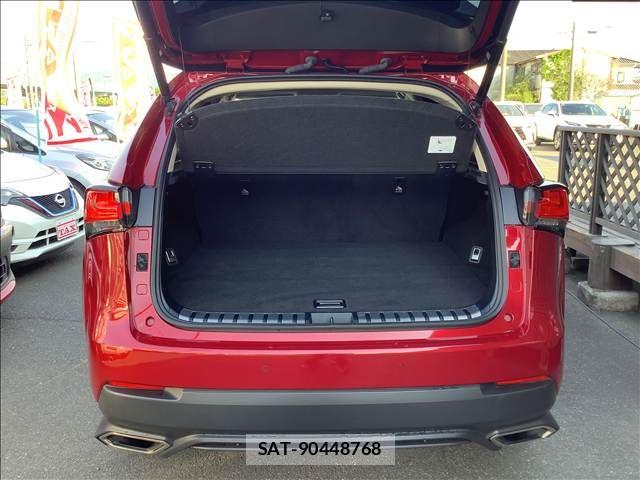 Lexus NX 2021-03 6907768-14