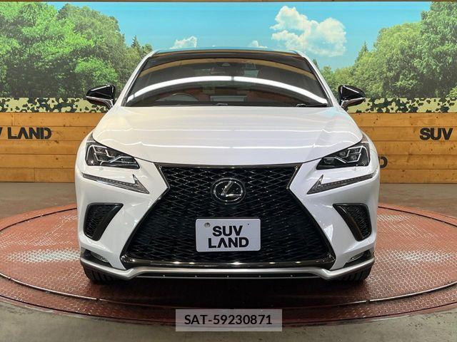 Lexus NX 2017-10 7020776-13