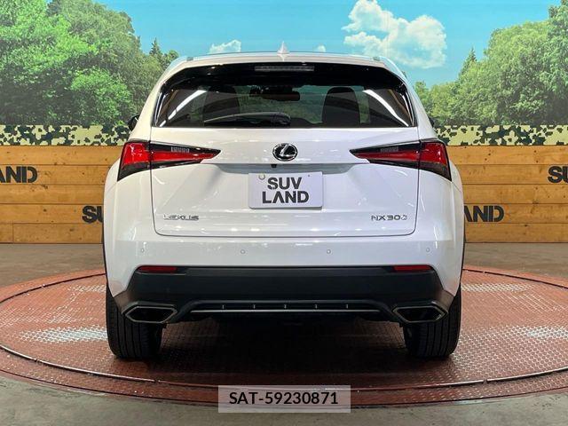 Lexus NX 2017-10 7020776-14