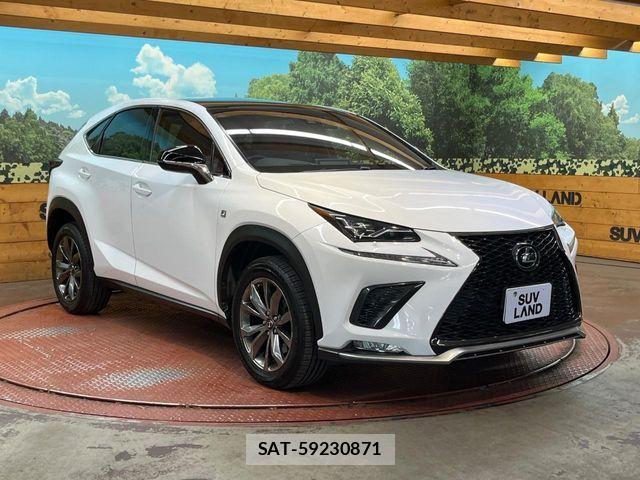 Lexus NX 2017-10 7020776-15