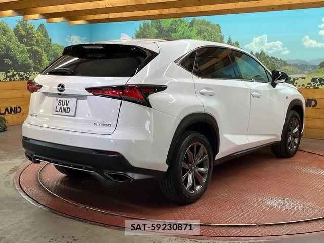 Lexus NX 2017-10 7020776-16