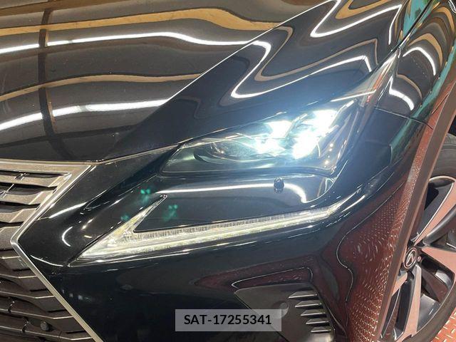 Lexus NX 2017-10 7020779-11