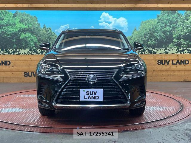 Lexus NX 2017-10 7020779-13