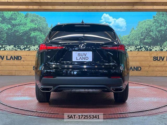 Lexus NX 2017-10 7020779-14