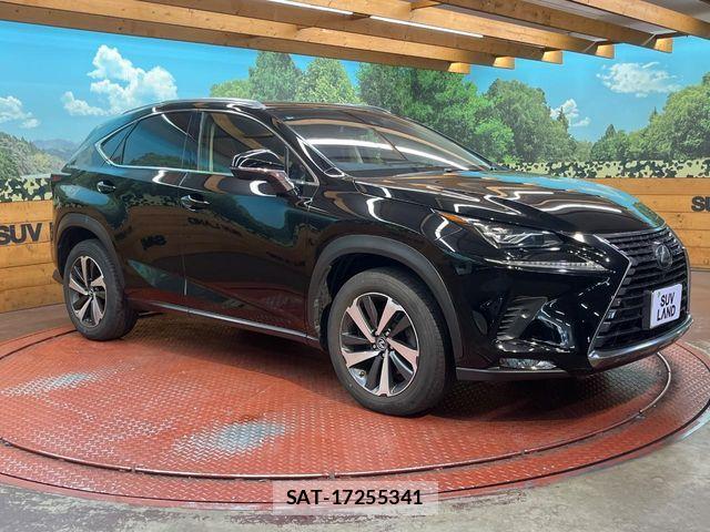 Lexus NX 2017-10 7020779-15