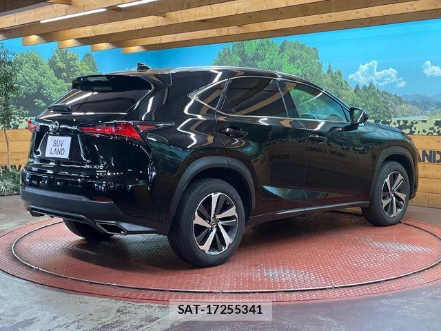 Lexus NX 2017-10 7020779-16