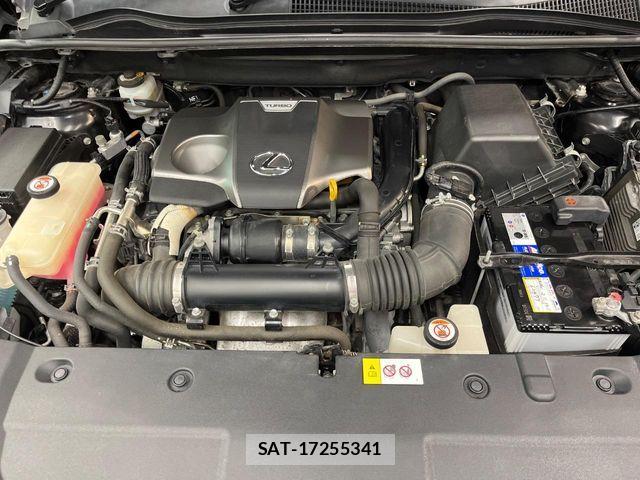Lexus NX 2017-10 7020779-17