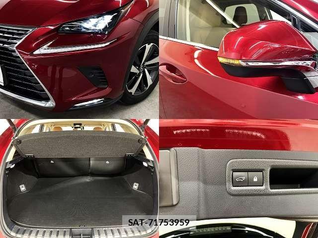 Lexus NX 2018-05 7221018-6